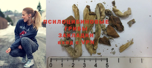 PSILOCYBIN Липки