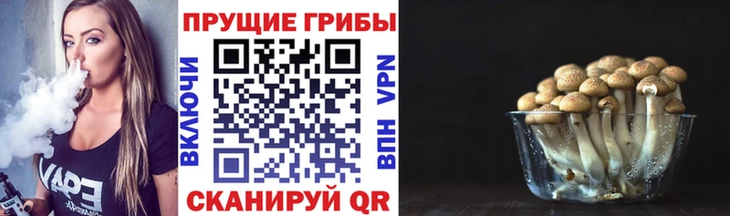 Галлюциногенные грибы ЛСД  Купить где  Апшеронск 