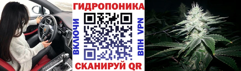 Купить закладки  Апшеронск  Марихуана тримм 
