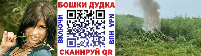 Бошки Шишки MAZAR Апшеронск